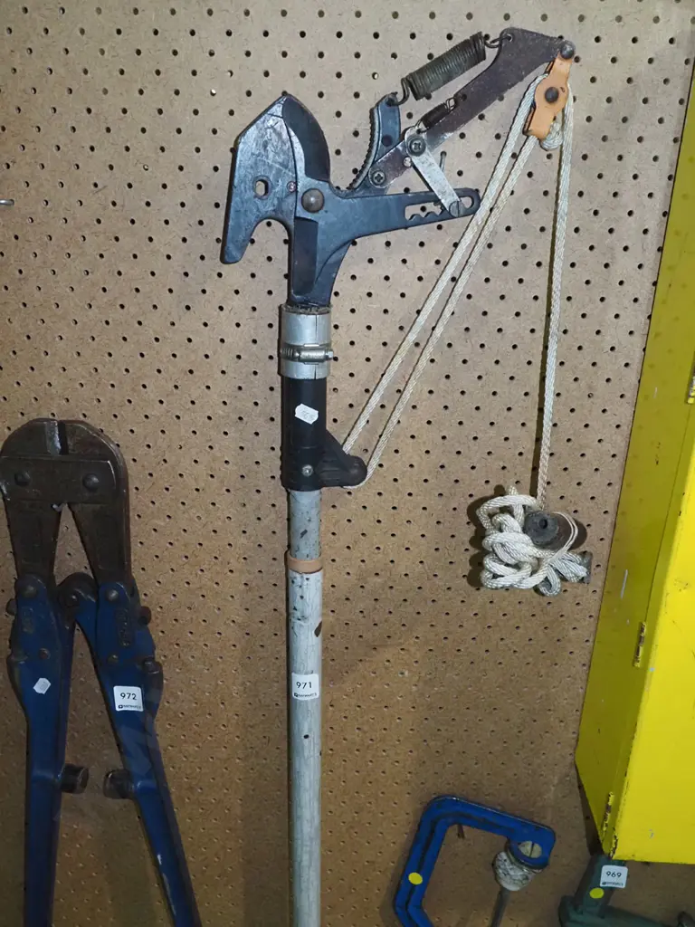 pole pruner Image 1++
