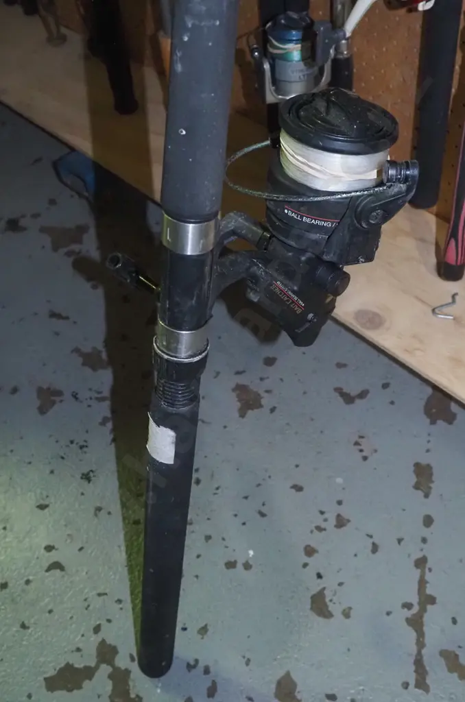 fishing rod and reel Image 1++
