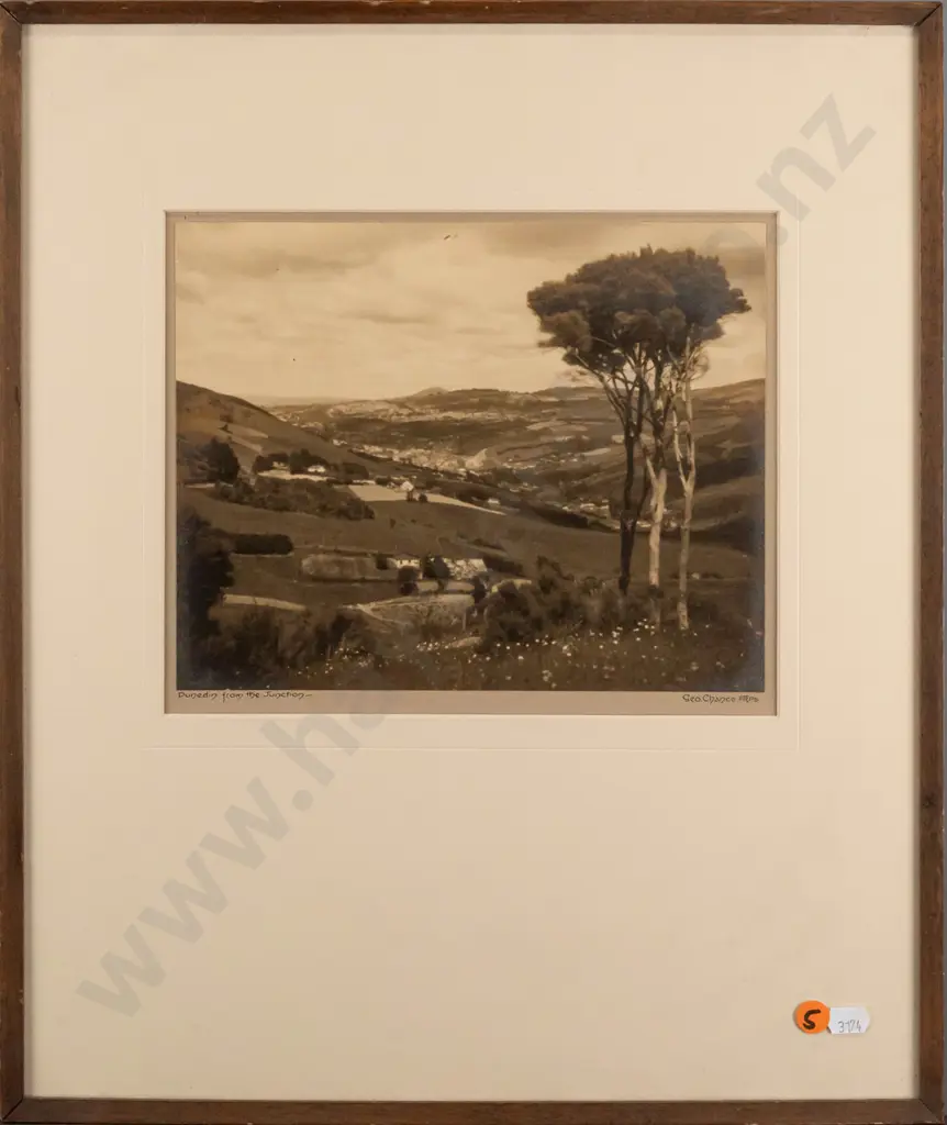 George Chance - framed vintage photograph "Dunedin from the Junction" H-195 W-240 Image 1++