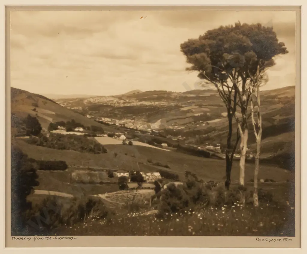 George Chance - framed vintage photograph "Dunedin from the Junction" H-195 W-240 Image 1++