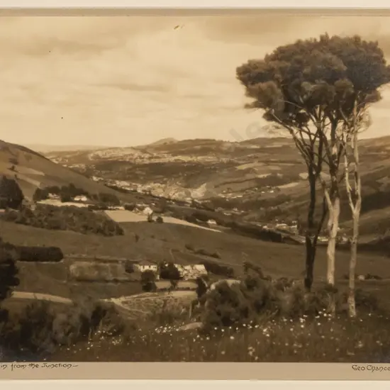 George Chance - framed vintage photograph "Dunedin from the Junction" H-195 W-240