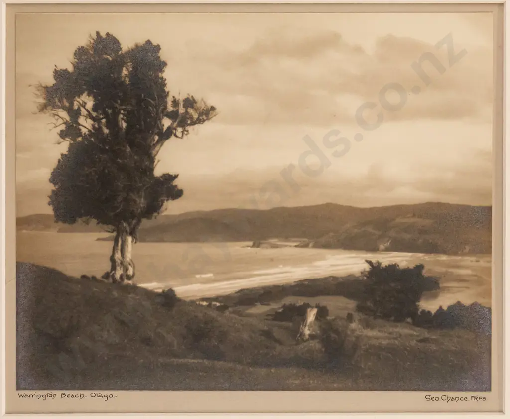 George Chance - framed vintage photograph "Warrington Beach, Otago" H-195 W-240 (slight aging) Image 1++