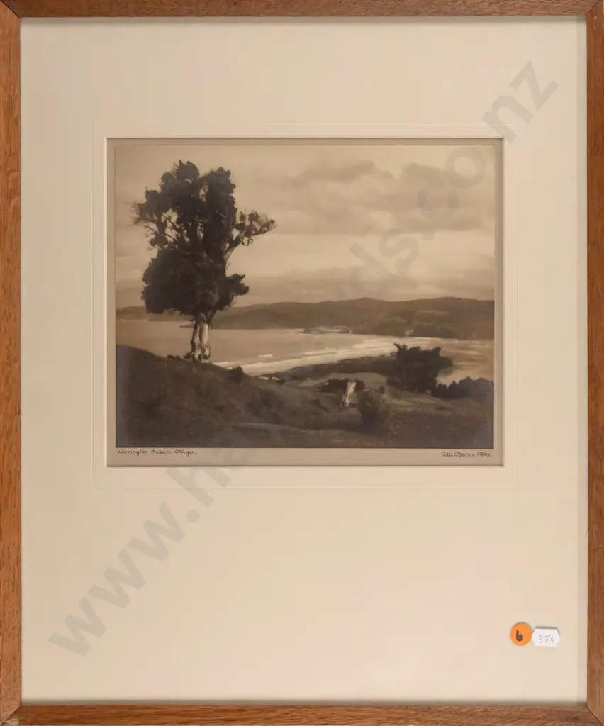 George Chance - framed vintage photograph "Warrington Beach, Otago" H-195 W-240 (slight aging) Image 1++