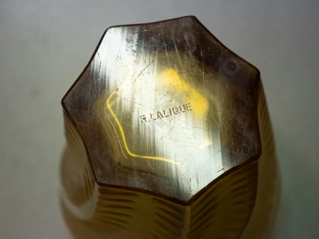 amber glass large beaker or vase with fern leaf pattern - marked "R. Lalique" on base H-125 D-100 Image 1++