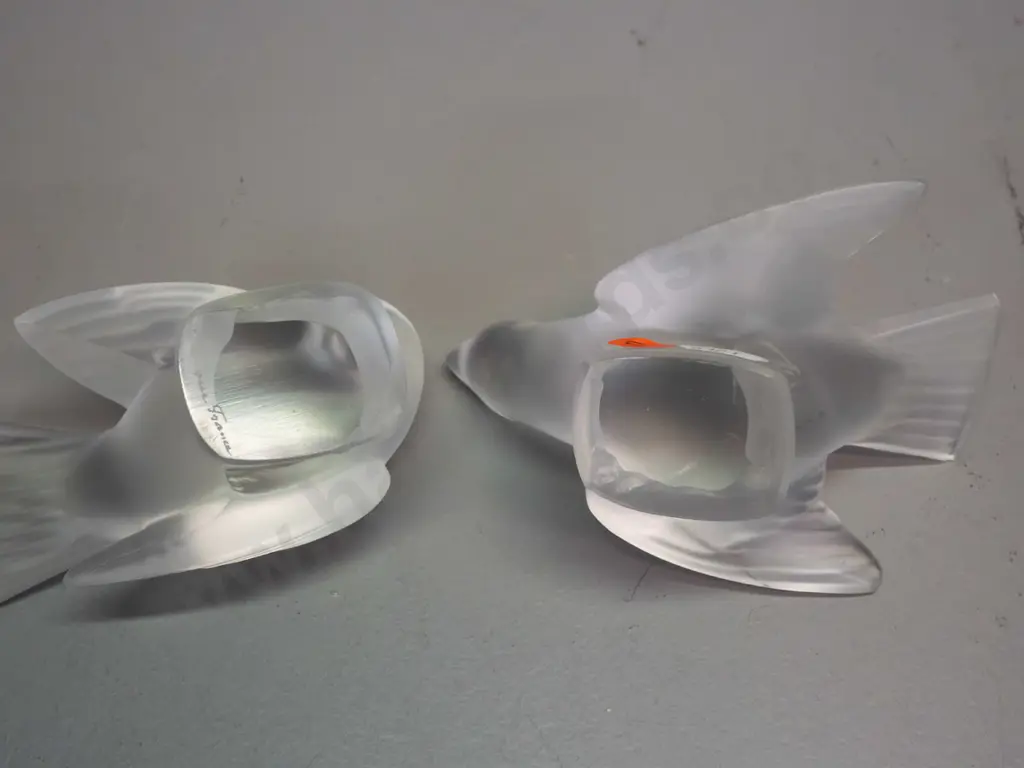 set of 2 Lalique frosted glass doves - both etched Lalique France on base - one has chips to tail and tip of one wing. Image 1++