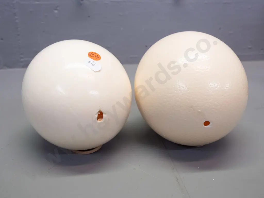 2 ostrich eggs, one with some chipping around one end opening, approx. L-165 Image 1++