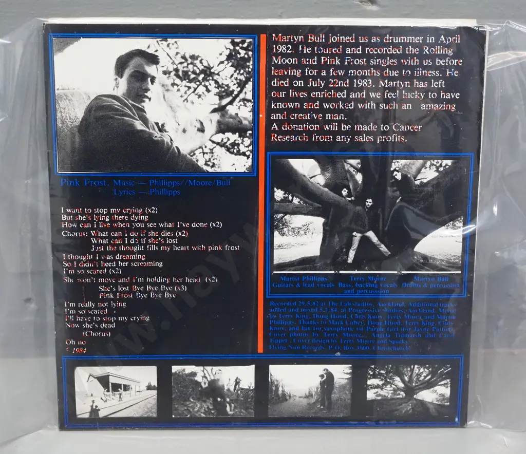 45 RPM single - The Chills - Pink Frost / Purple Girl 1984 Flying Nun. Outer sleeve coming apart slightly Image 1++