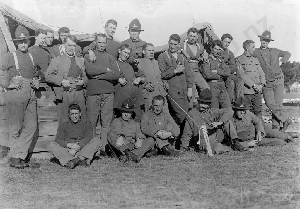 box of vintage glass plate negatives - half plate size, unknown photographer - SY Aurora, NZ Field Artillery group, Port Image 1++