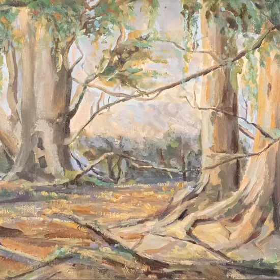 F.R Brown 1925, framed oil on board - tree scene H-250 W-350 (Dunedin Exhibition 1925)