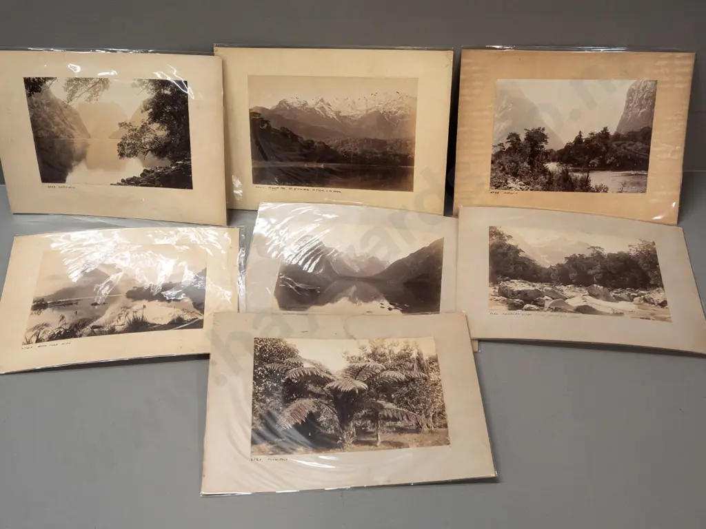 14 vintage NZ landscape photos mounted on 7 cards - Milford Sound, Lake Ada, Lake Te Anau, etc. - most with original Image 1++
