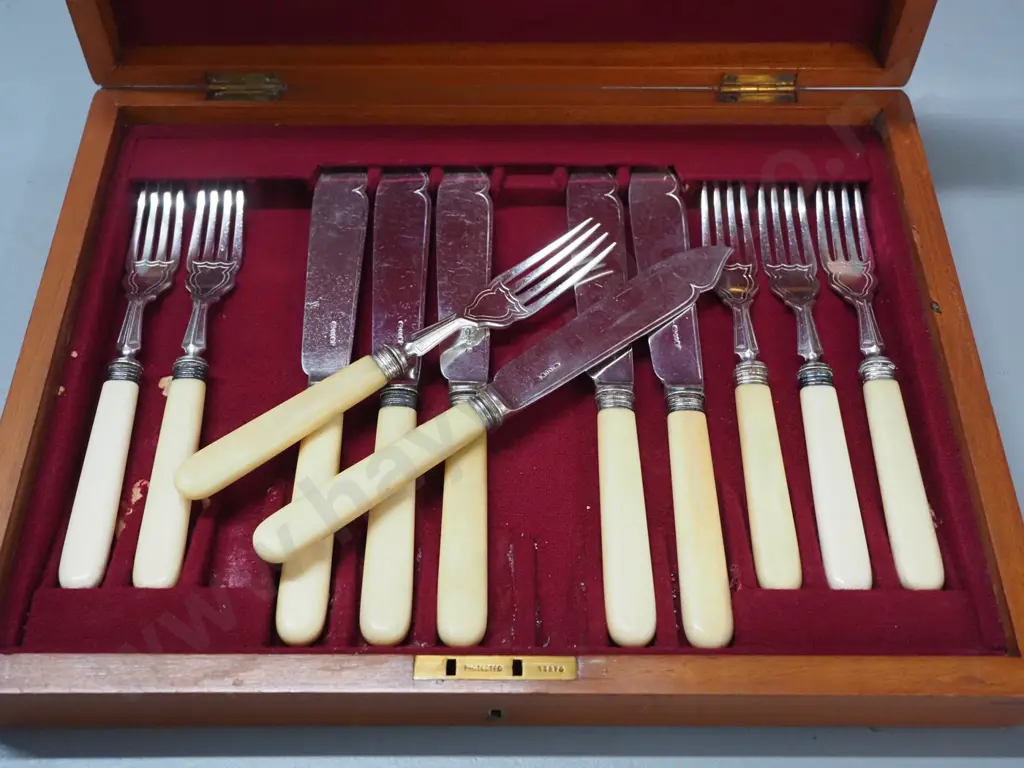 set of vintage bone-handled silver plated fish knives and forks in mahogany case, brass shield inlay in top Image 1++