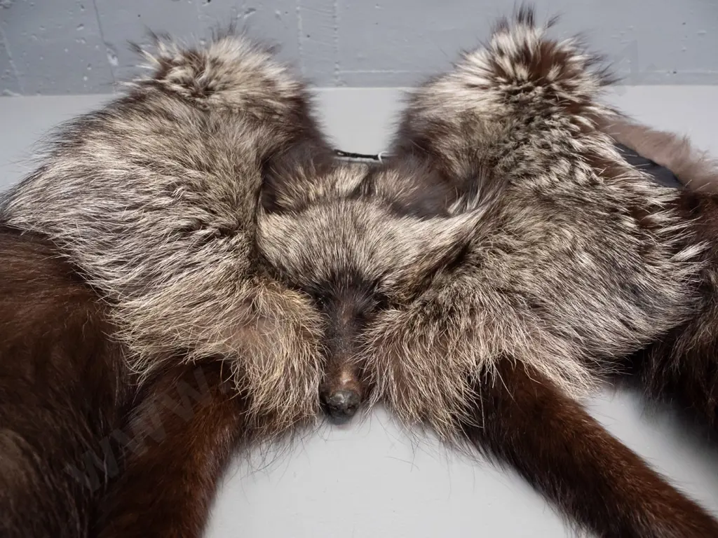 silver fox fur stole with 2 tails L-950 Image 1++
