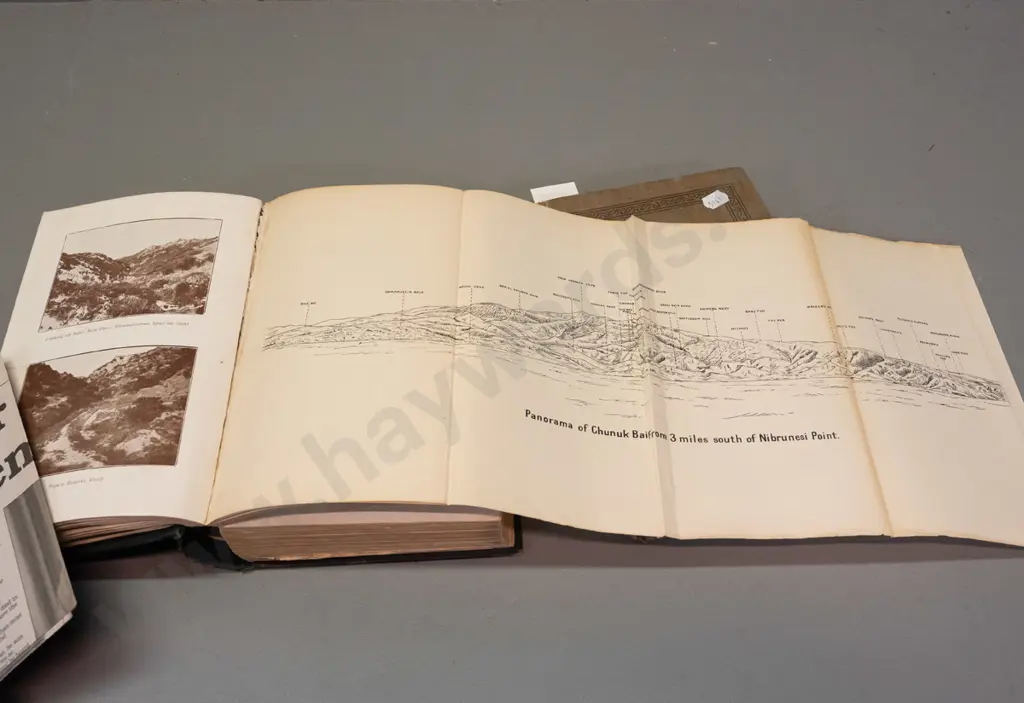 2 WWI history books - Official History of the Otago Regiment NZEF, and New Zealanders at Gallipoli, pub 1919 Image 1++