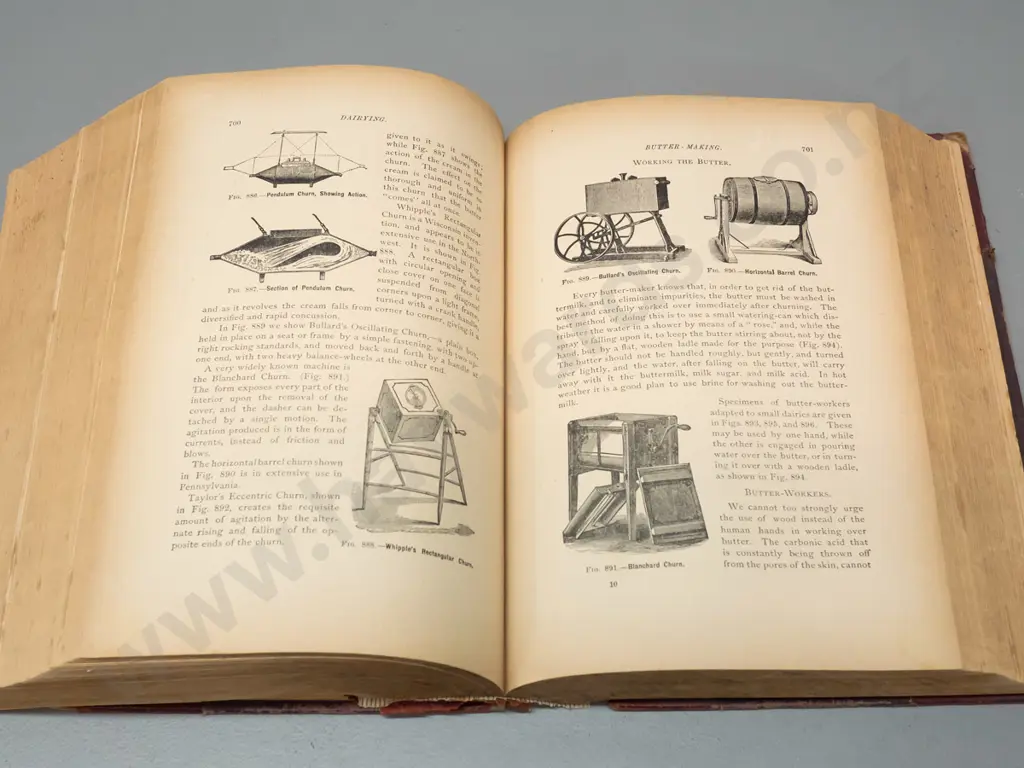 1904 Magner's Standard Horse and Stock book - dist. Malcolm & Grigg Dunedin - with numerous illustrations, Image 1++
