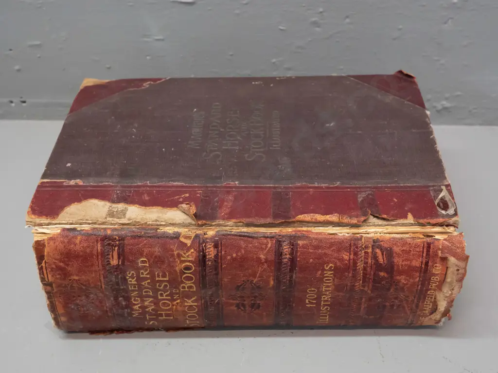 1904 Magner's Standard Horse and Stock book - dist. Malcolm & Grigg Dunedin - with numerous illustrations, Image 1++