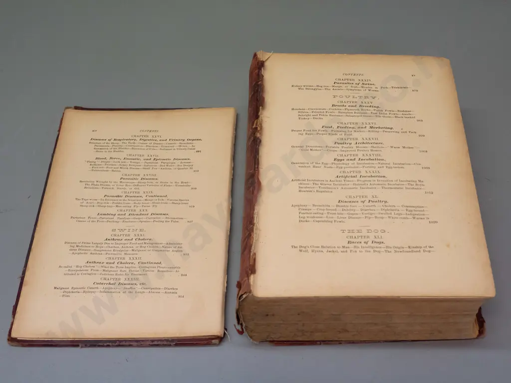 1904 Magner's Standard Horse and Stock book - dist. Malcolm & Grigg Dunedin - with numerous illustrations, Image 1++