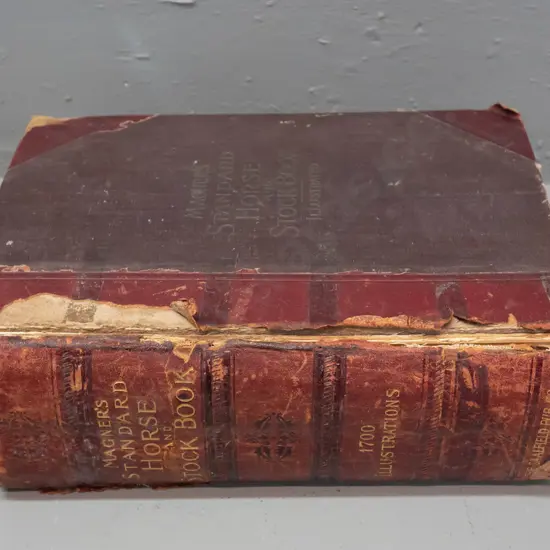 1904 Magner's Standard Horse and Stock book - dist. Malcolm & Grigg Dunedin - with numerous illustrations,