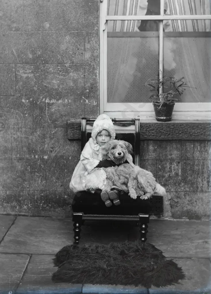 15 vintage glass plate photographic negatives - assorted family groups and portraits, photographer unknown - half plate Image 1++