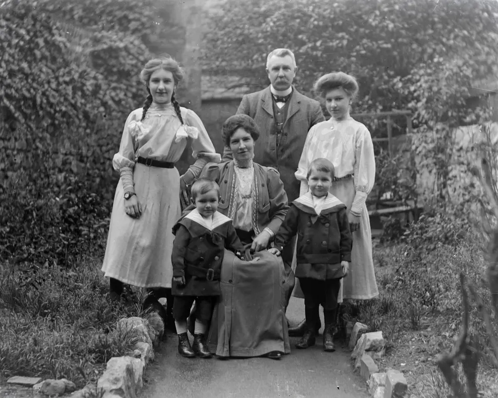 15 vintage glass plate photographic negatives - assorted family groups and portraits, photographer unknown - half plate Image 1++