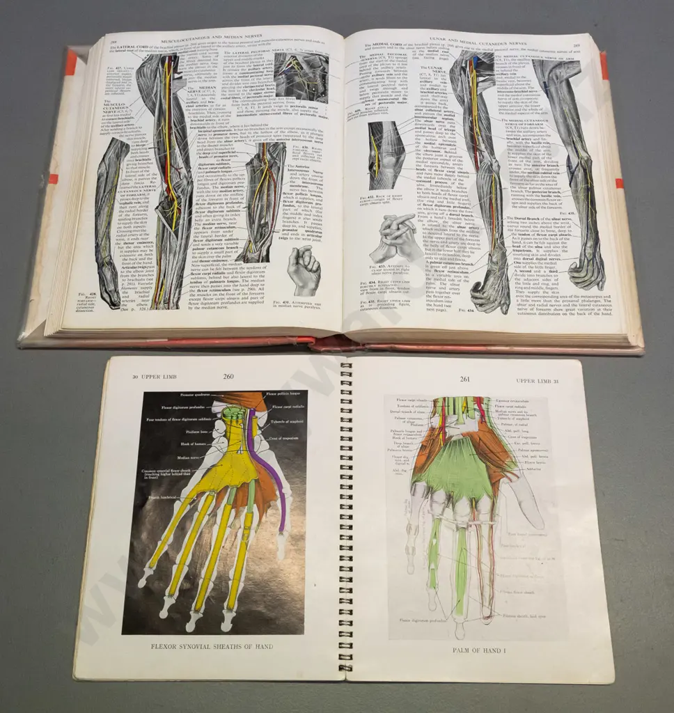 4 illustrated medical and anatomy books - one with water damage, some with wear and staining Image 1++