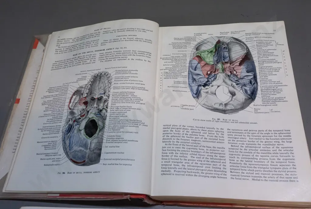4 illustrated medical and anatomy books - one with water damage, some with wear and staining Image 1++