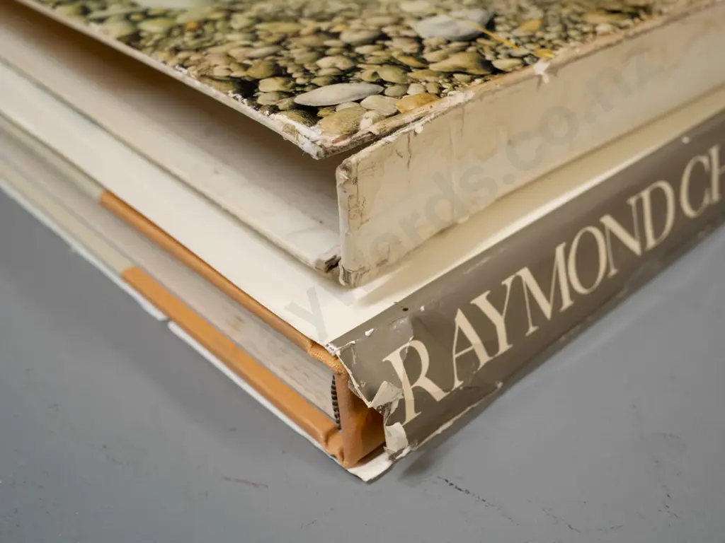 2 Raymond Ching books - "Wild Portraits" pub. 1988 and slip-cased The Bird Paintings pub. 1978 - both have some cello Image 1++