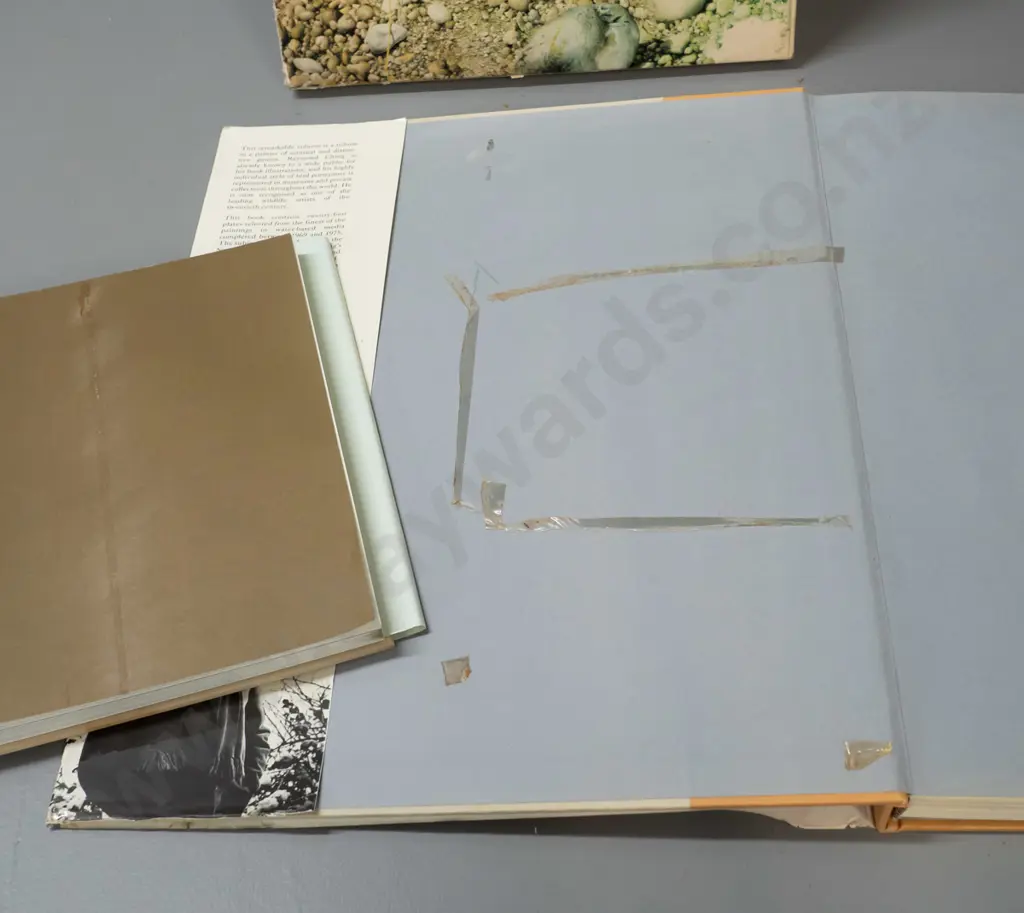 2 Raymond Ching books - "Wild Portraits" pub. 1988 and slip-cased The Bird Paintings pub. 1978 - both have some cello Image 1++