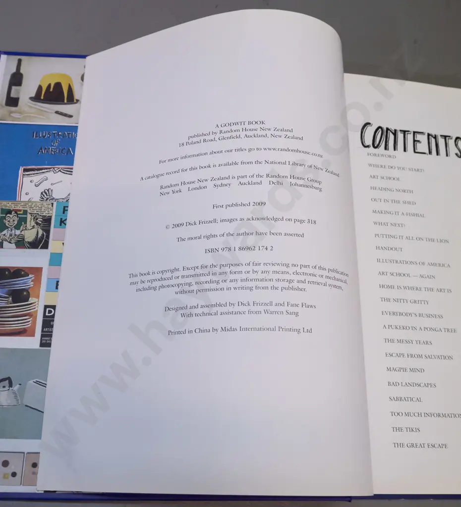 hard cover book - Dick Frizzell The Painter - pub. 1990, signed by Frizzell in 1990 Image 1++