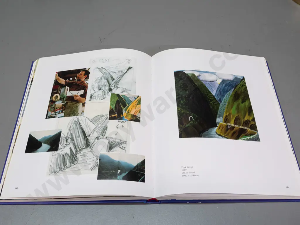 hard cover book - Dick Frizzell The Painter - pub. 1990, signed by Frizzell in 1990 Image 1++