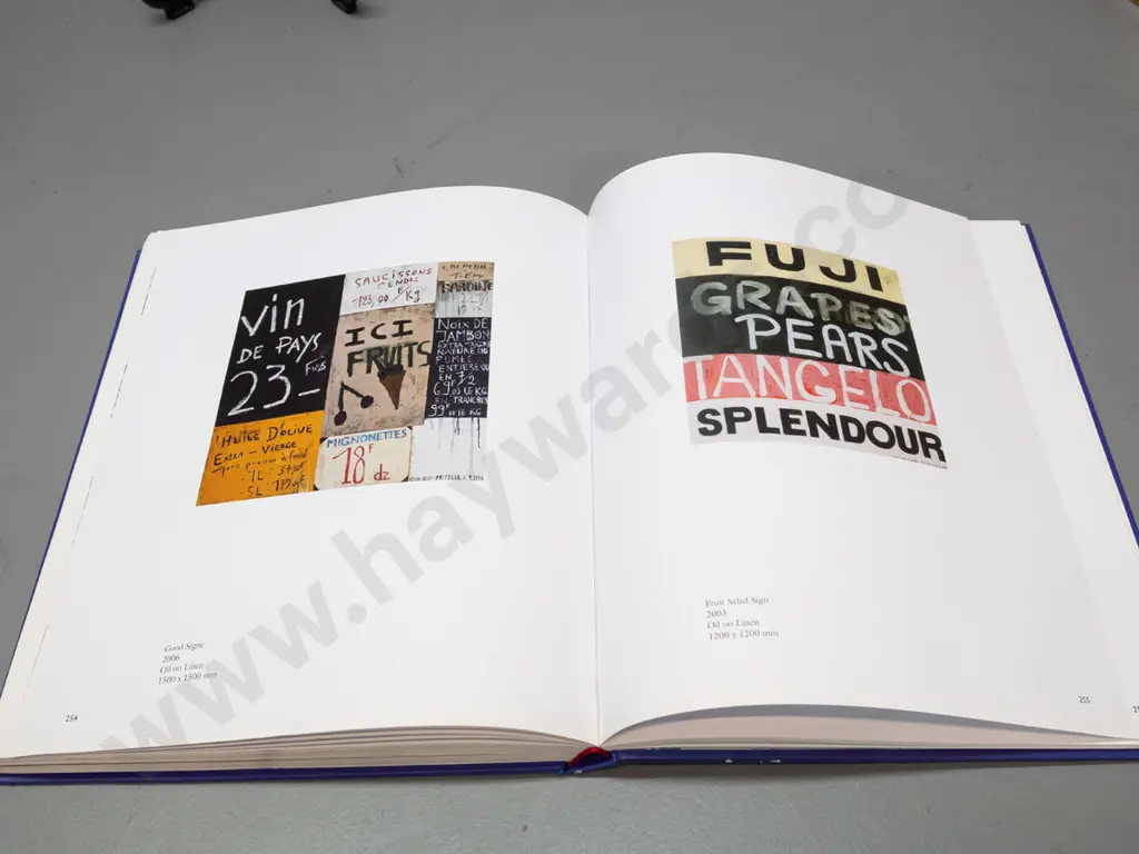 hard cover book - Dick Frizzell The Painter - pub. 1990, signed by Frizzell in 1990 Image 1++