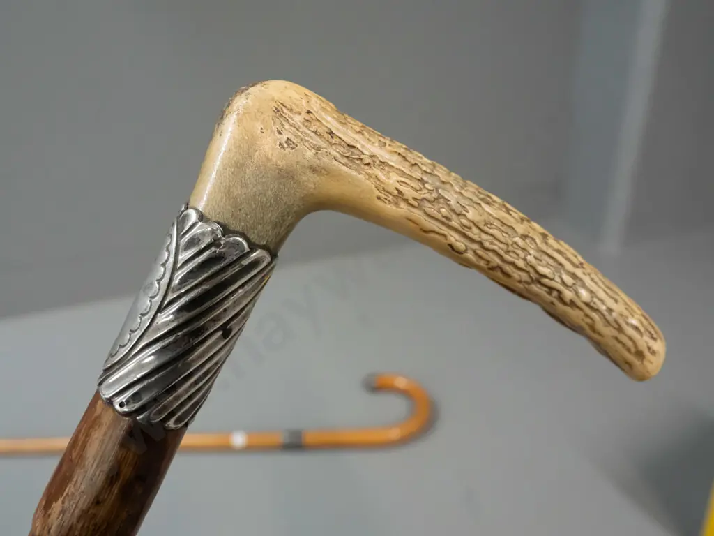 2 walking sticks - bent wood cane with band & end cap marked "Silver" and bamboo? with angled antler handle, sterling Image 1++