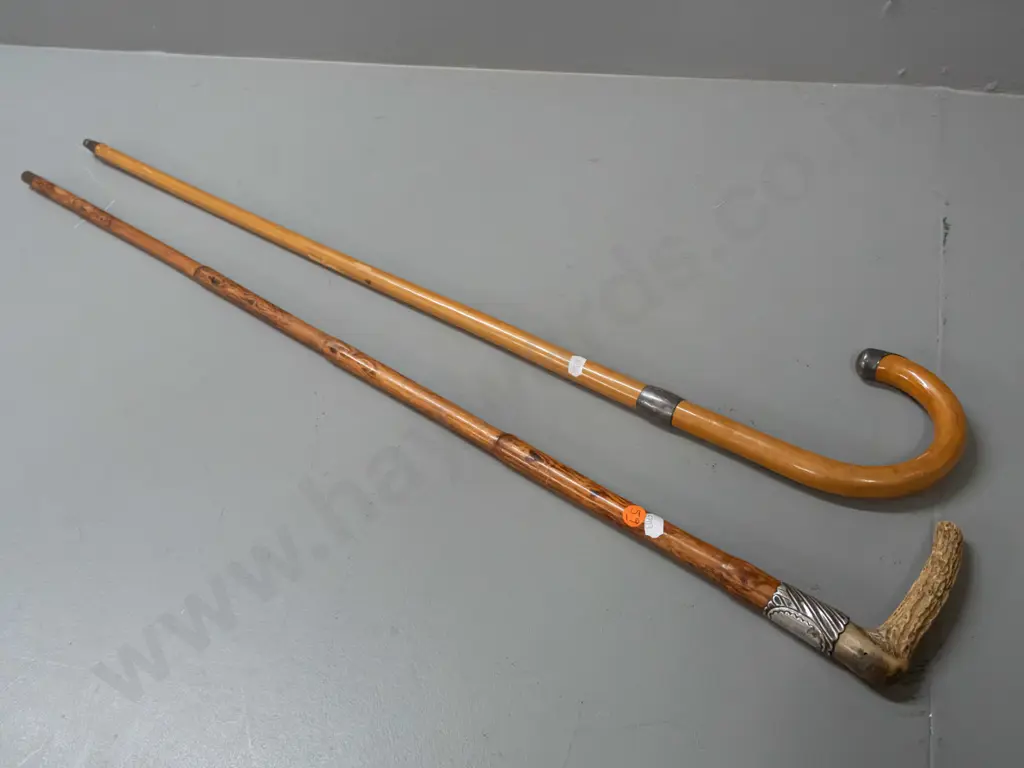 2 walking sticks - bent wood cane with band & end cap marked "Silver" and bamboo? with angled antler handle, sterling Image 1++