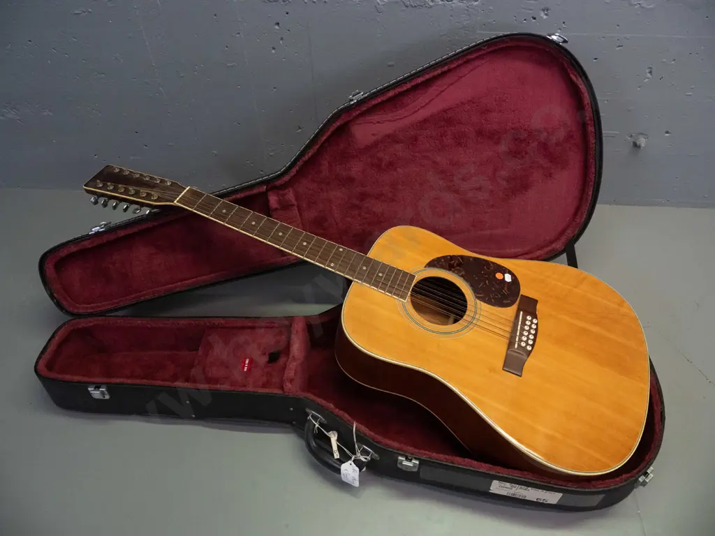 Segovia SJ-26 12-string acoustic guitar - one broken string, minor corrosion to tuning pegs L-1080 W-390 Image 1++
