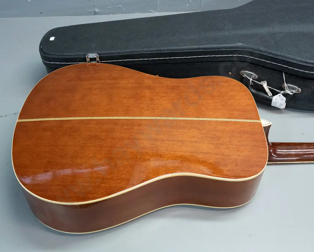 Segovia SJ-26 12-string acoustic guitar - one broken string, minor corrosion to tuning pegs L-1080 W-390 Image 1++