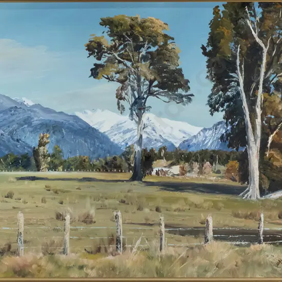 Ian Findlay 1978, framed oil on board - Franz Josef farmland H-420 H-660 (frame needs attention)