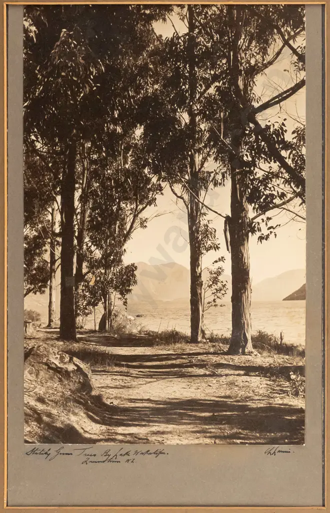 illegible signature, framed vintage photograph -Lake Wakatipu H-260 W-170 Image 1++
