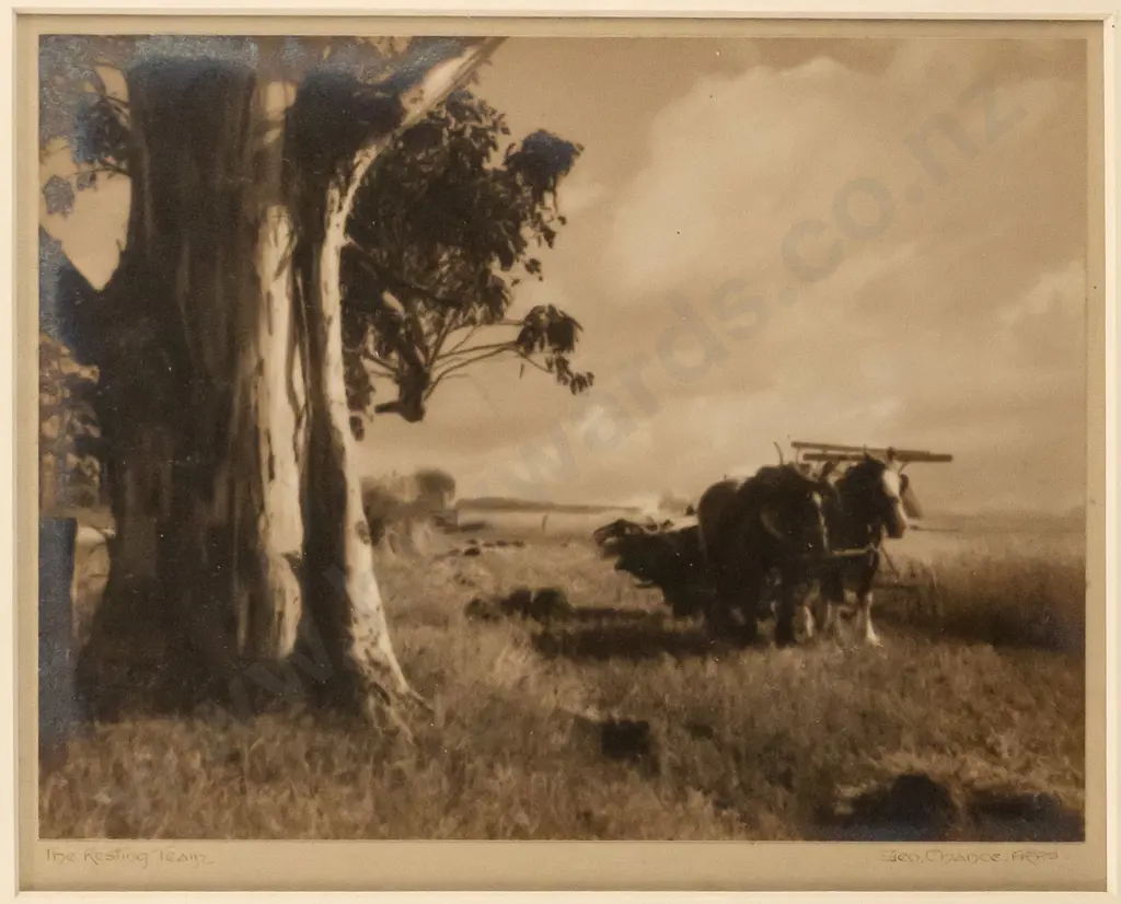George Chance - framed vintage photograph "The Resting Team" (slight aging) H-150 W-210 Image 1++