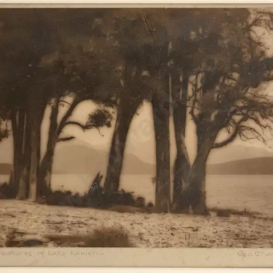George Chance - framed vintage photograph "On the shores of Lake Kaniere" H-160 W-210