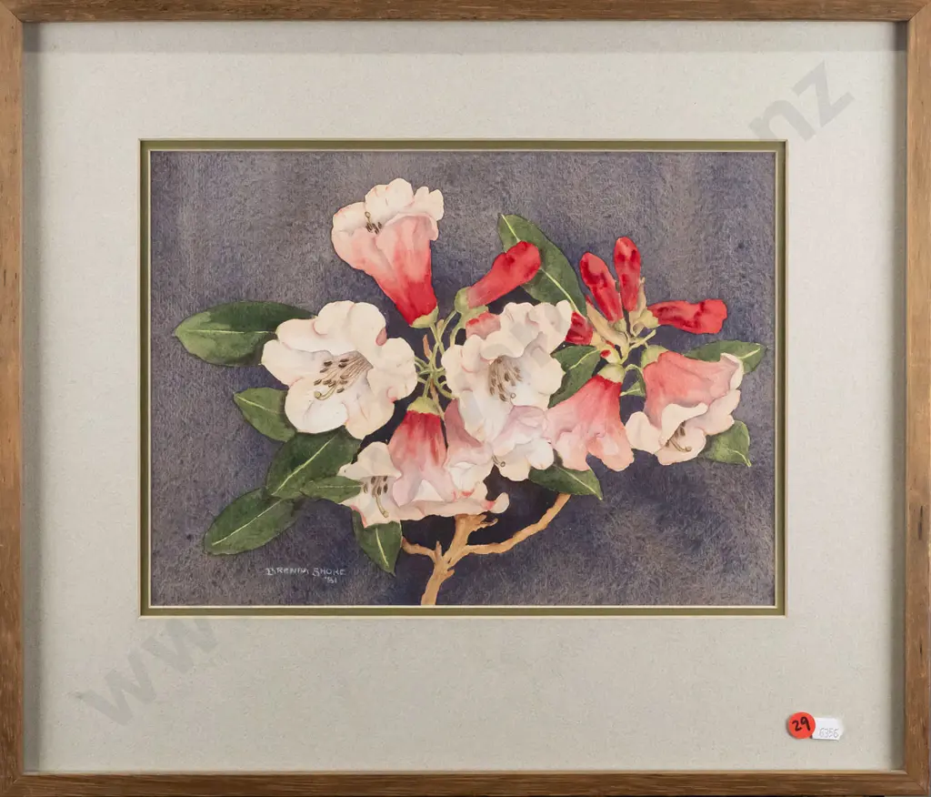 Brenda Shore '81 - framed watercolour "Rhododendron Marquis of Lothian" H-245 W-330 Image 1++