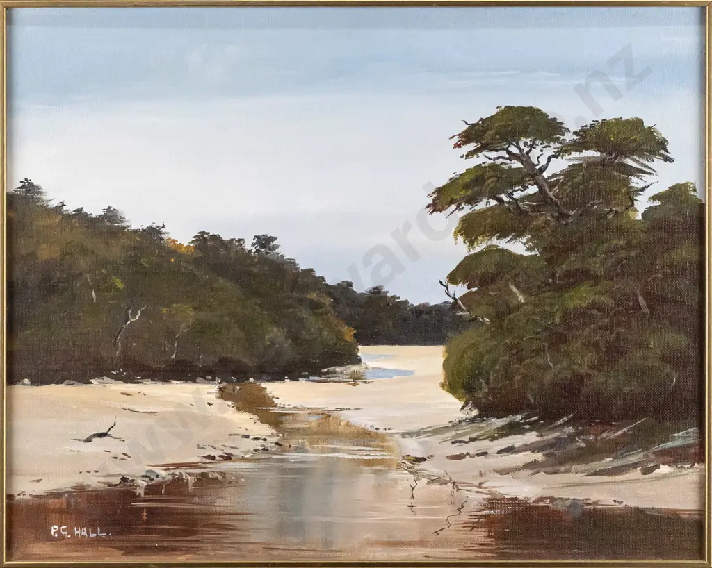 P.G Hall 1983 - framed acrylic on board "Bathing Beach Stewart Island" H-390 W-490 Image 1++