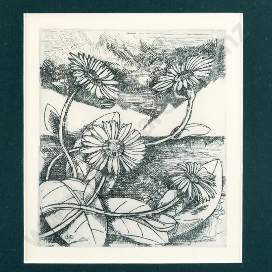 Donald Paterson - framed etching - flowers H125 W110