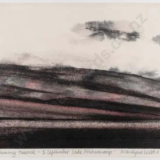 Marilynn Webb '83 - framed watercolour and acrylic "Burning Tussock - 5 September Lake Mahinerangi" H230 W290