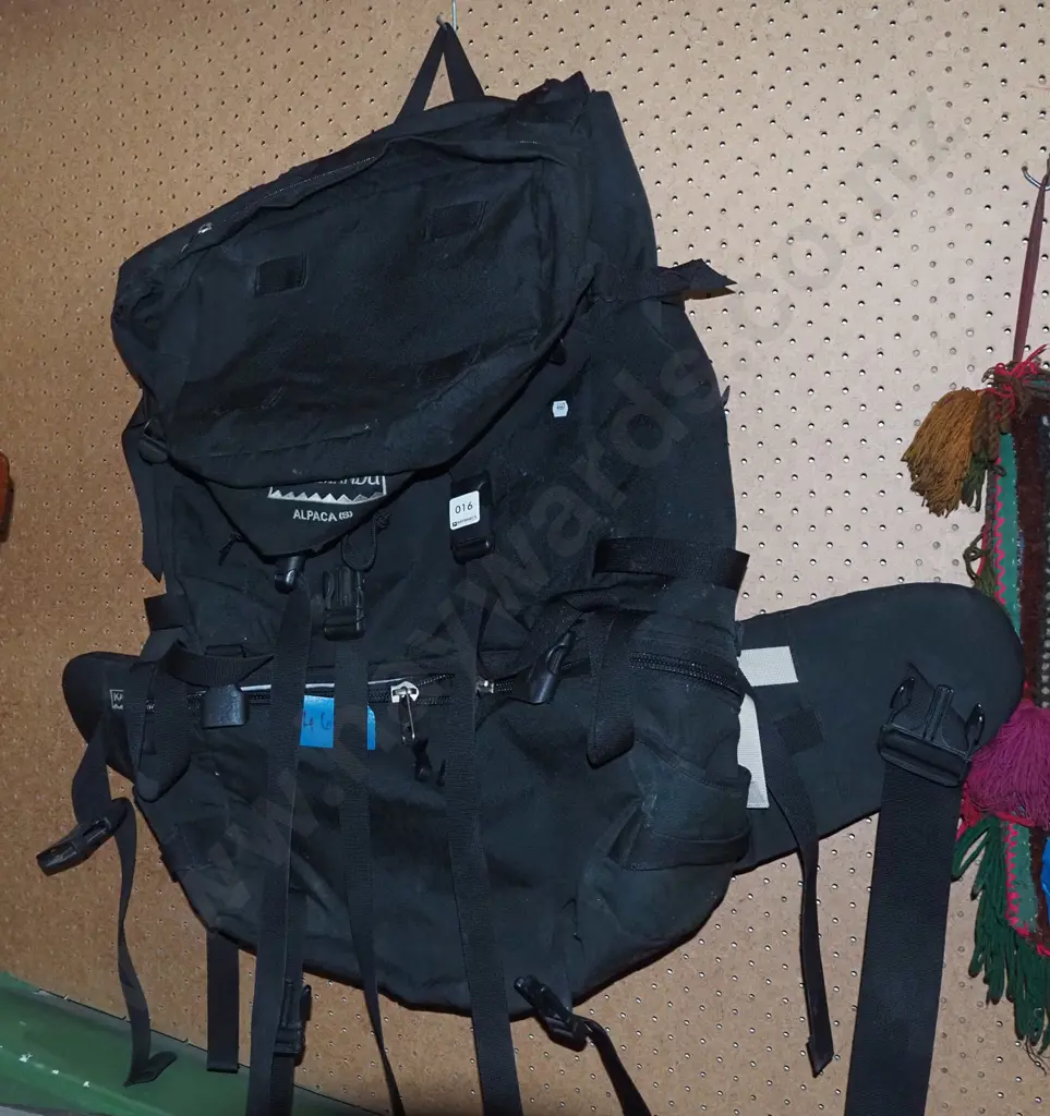Kathmandu Alpaca (S) tramping pack Image 1++