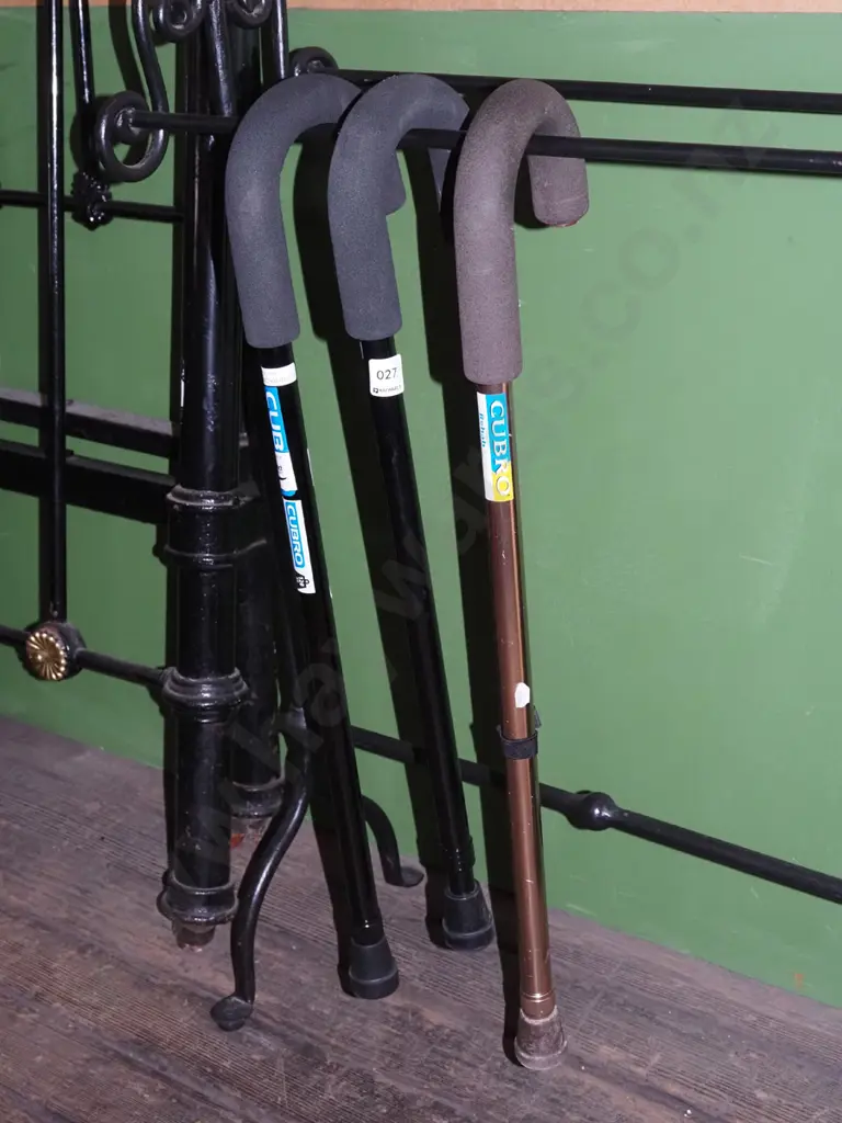 3x Clubpro walking stick Image 1++
