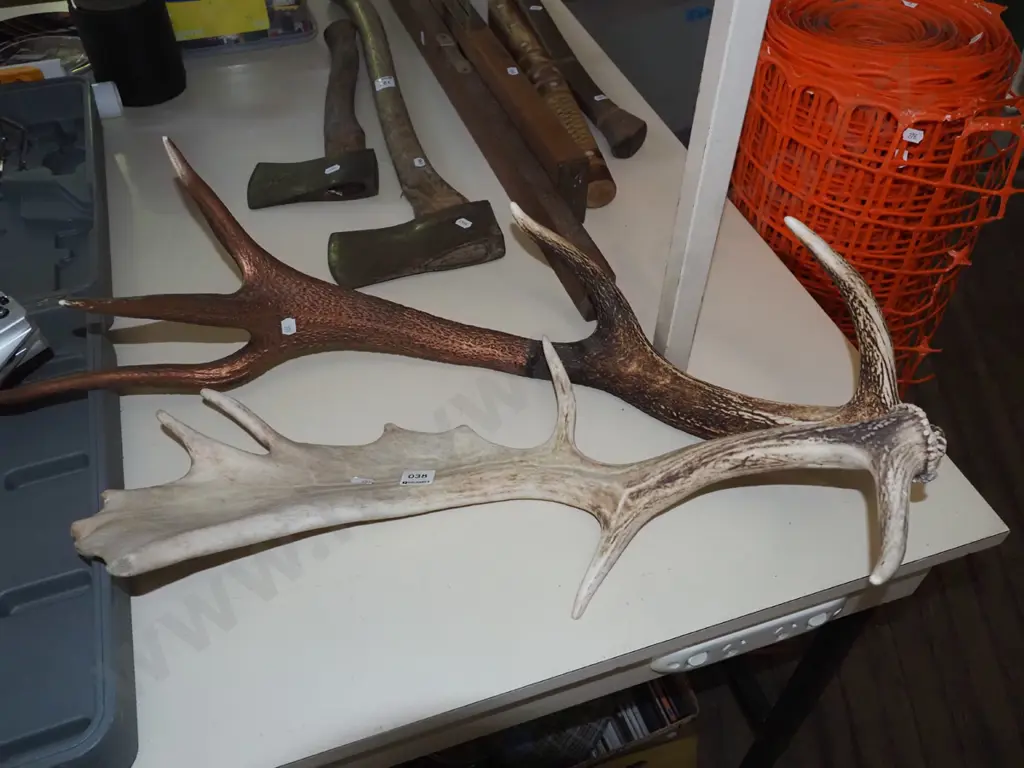 2x antlers Image 1++