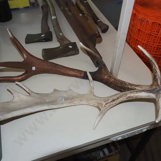 2x antlers