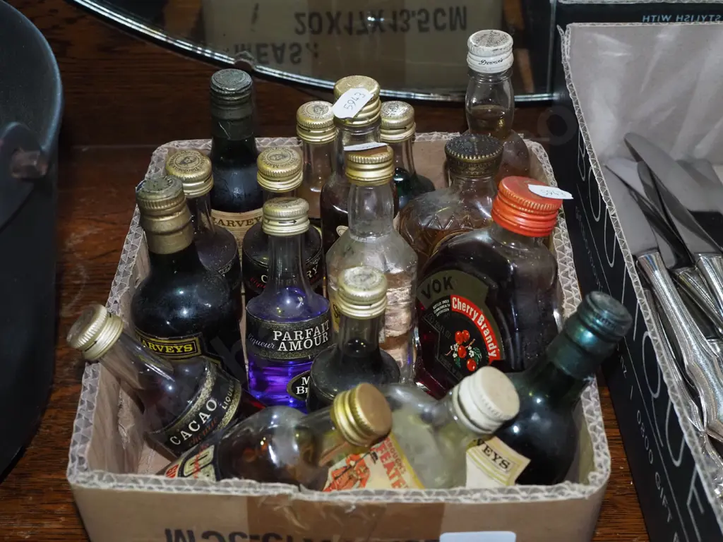 box of spirit miniatures Image 1++