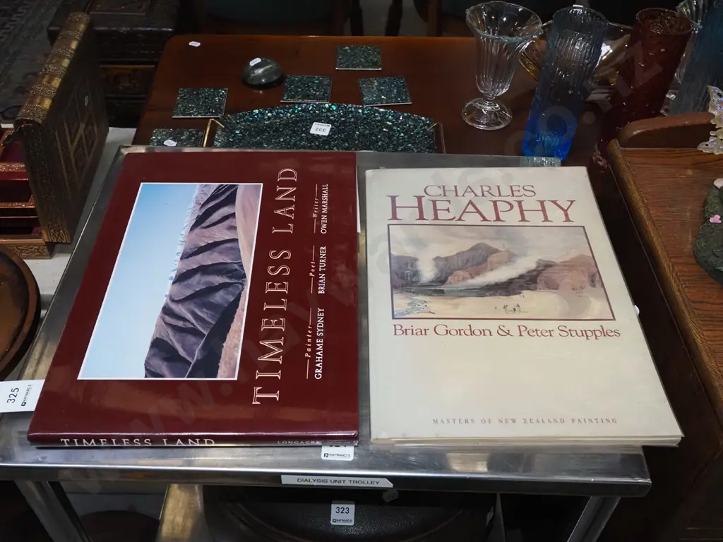 2x art books Image 1++