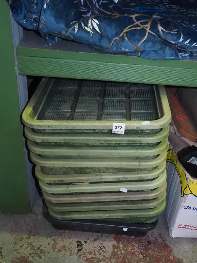 plastic seedling trays Image 1++