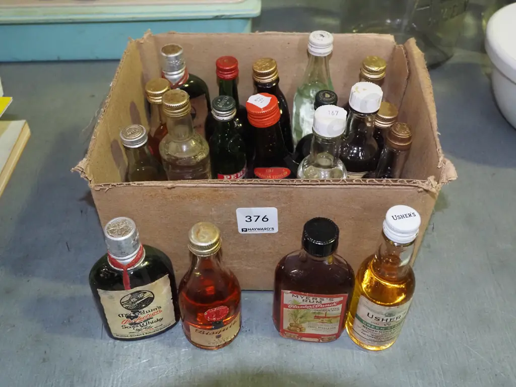 box of spirit minatures Image 1++